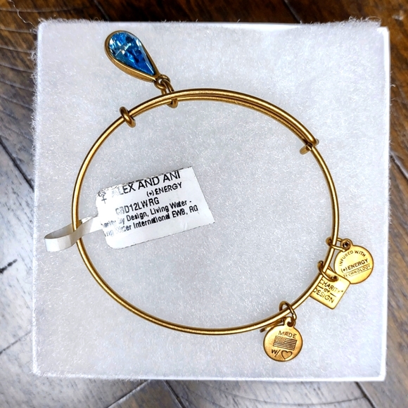 Alex & Ani Energy Bracelet Living Water - Picture 1 of 3